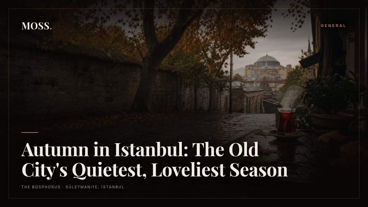 Autumn in Istanbul: The Old City's Quietest, Loveliest Season