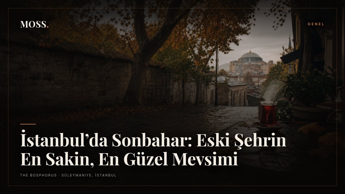 İstanbul’da Sonbahar: Eski Şehrin En Sakin, En Güzel Mevsimi