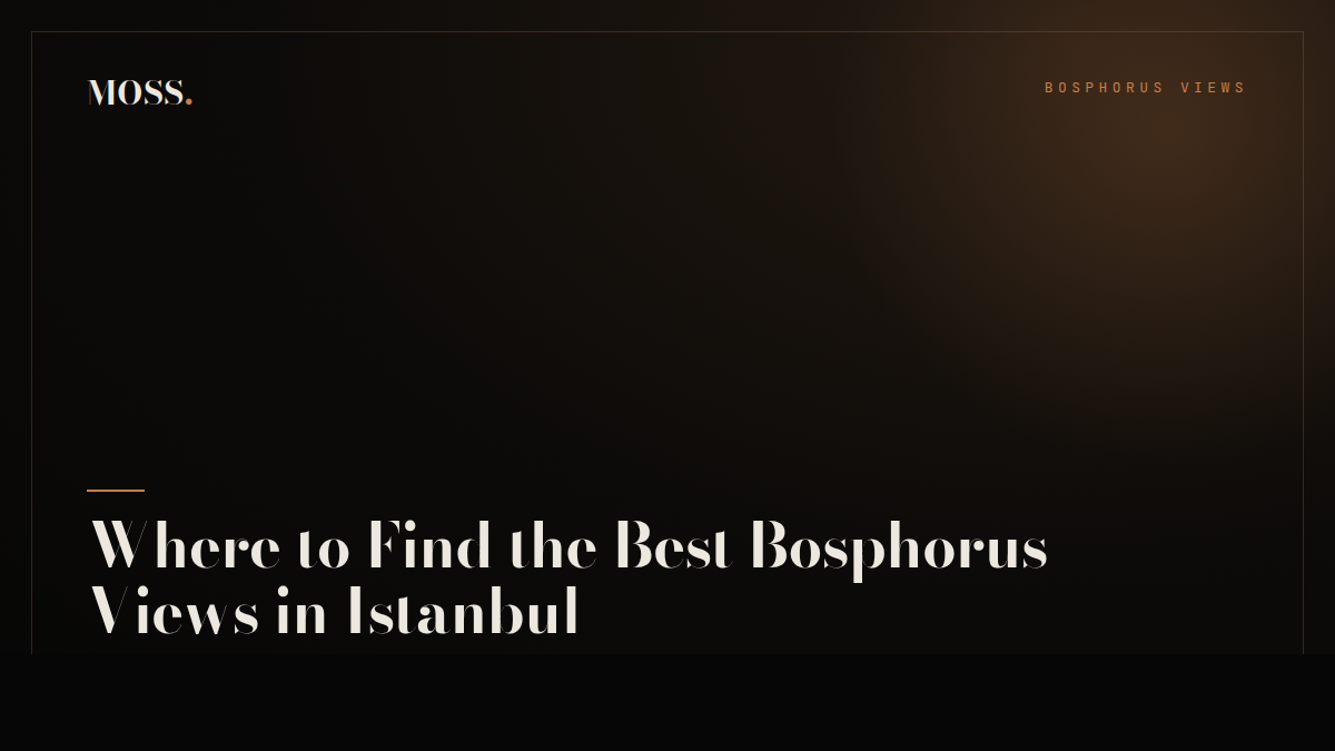 Where to Find the Best Bosphorus Views in Istanbul
