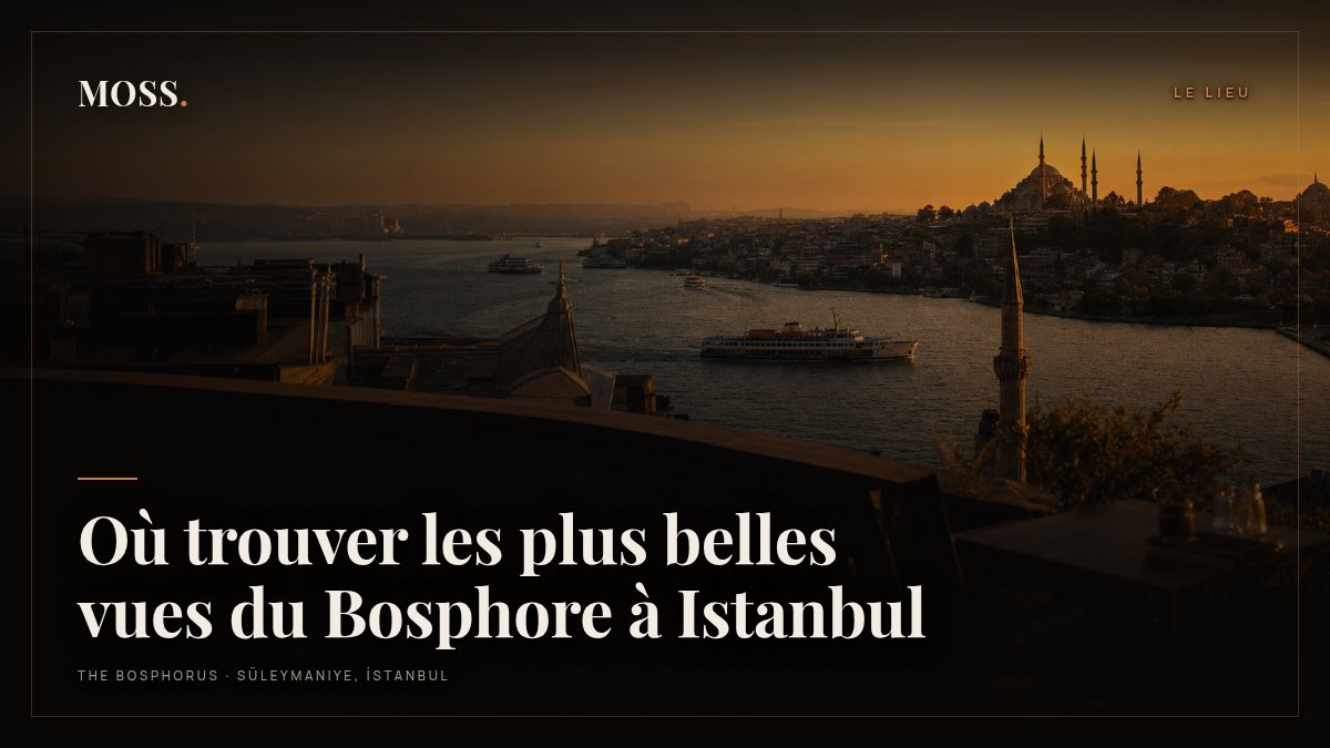 Où trouver les plus belles vues du Bosphore à Istanbul