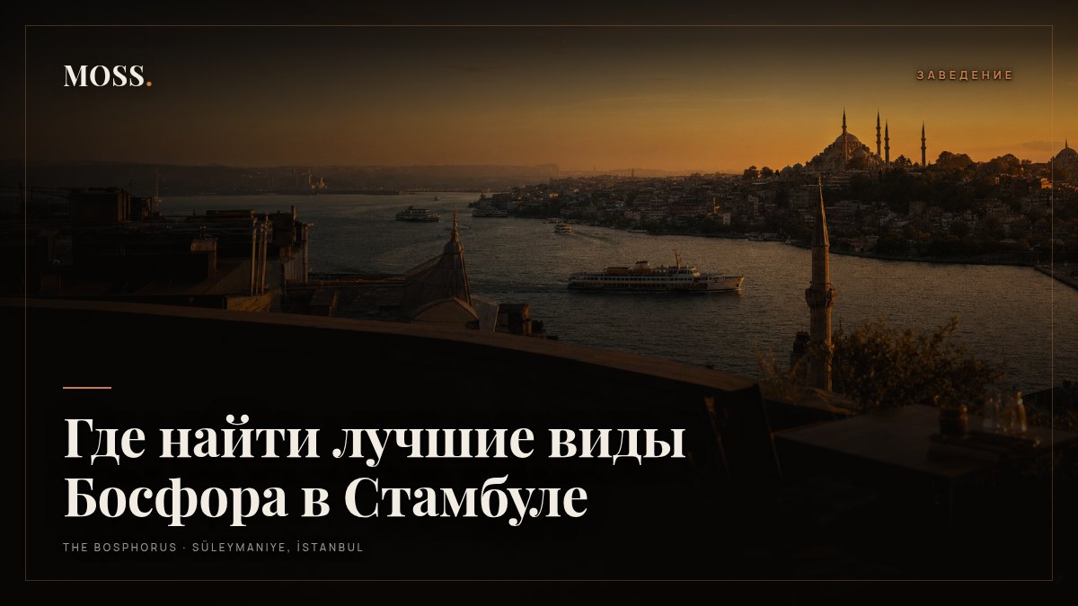 Где найти лучшие виды Босфора в Стамбуле