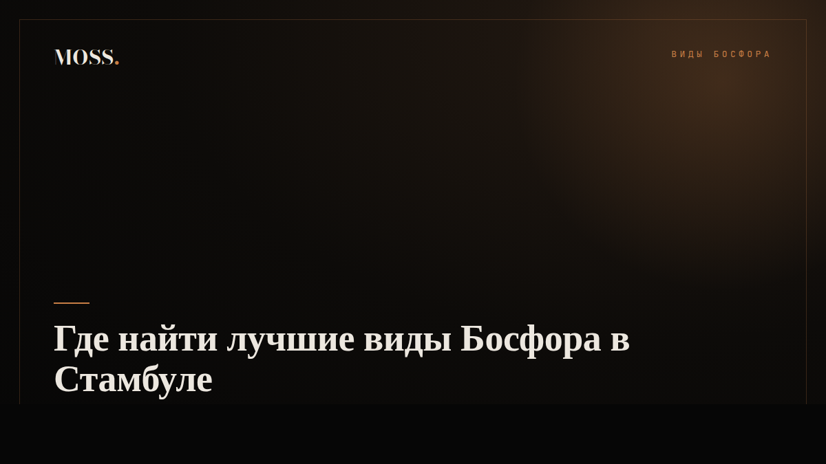 Где найти лучшие виды Босфора в Стамбуле