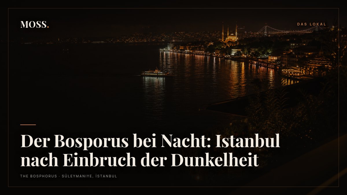 Der Bosporus bei Nacht: Istanbul nach Einbruch der Dunkelheit