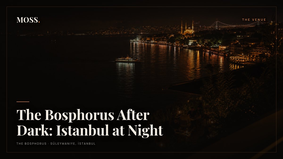 The Bosphorus After Dark: Istanbul at Night