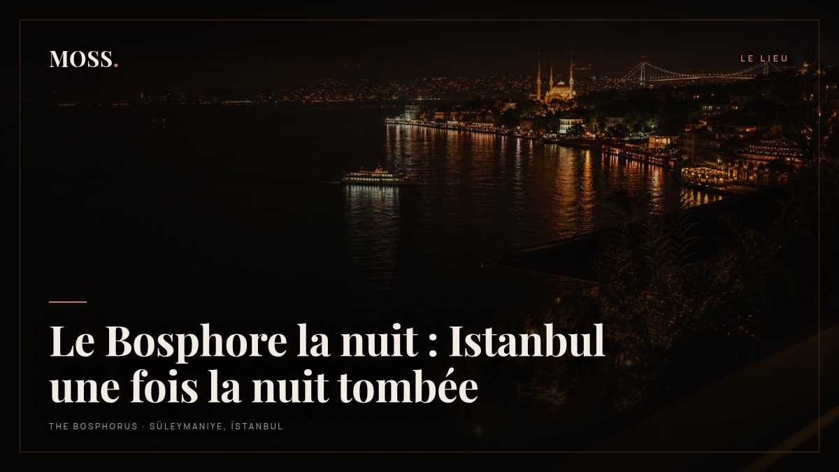 Le Bosphore la nuit : Istanbul une fois la nuit tombée