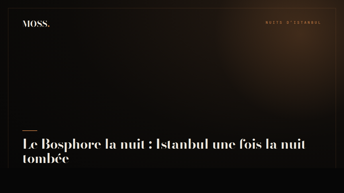 Le Bosphore la nuit : Istanbul une fois la nuit tombée