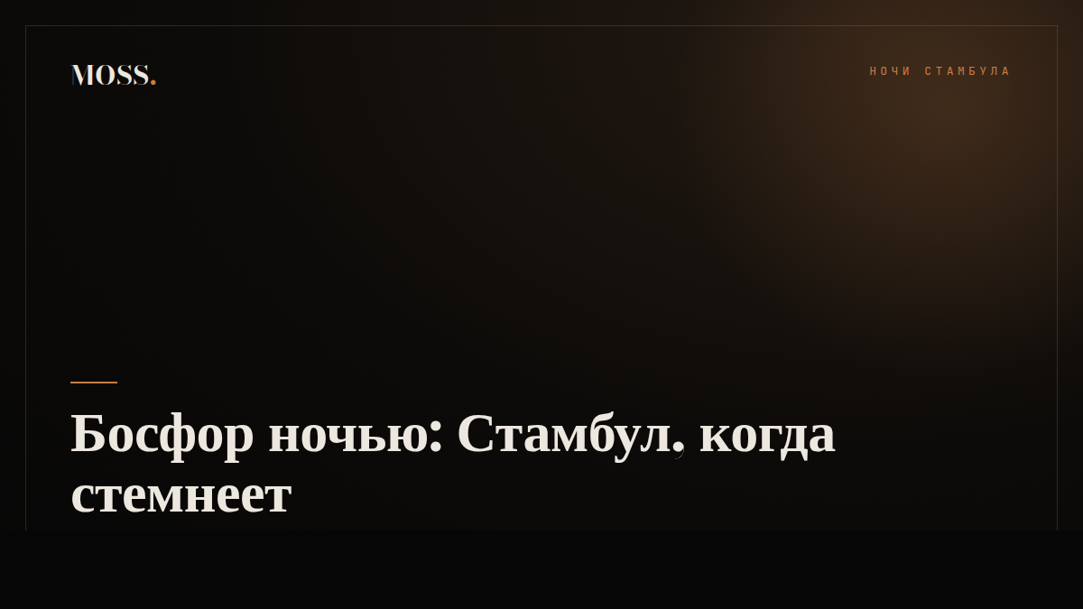 Босфор ночью: Стамбул, когда стемнеет