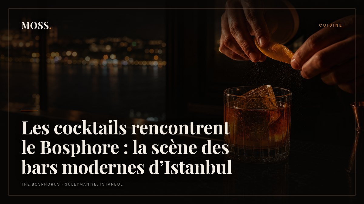 Les cocktails rencontrent le Bosphore : la scène des bars modernes d’Istanbul