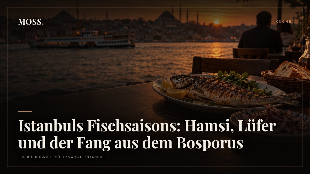 Istanbuls Fischsaisons: Hamsi, Lüfer und der Fang aus dem Bosporus