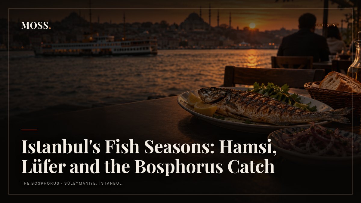 Istanbul's Fish Seasons: Hamsi, Lüfer and the Bosphorus Catch