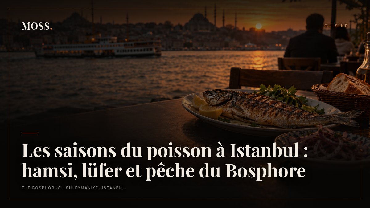 Les saisons du poisson à Istanbul : hamsi, lüfer et pêche du Bosphore