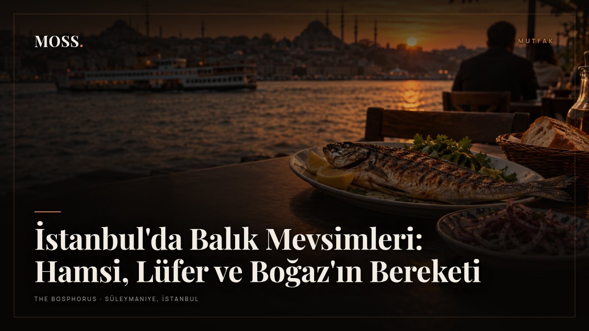 İstanbul'da Balık Mevsimleri: Hamsi, Lüfer ve Boğaz'ın Bereketi
