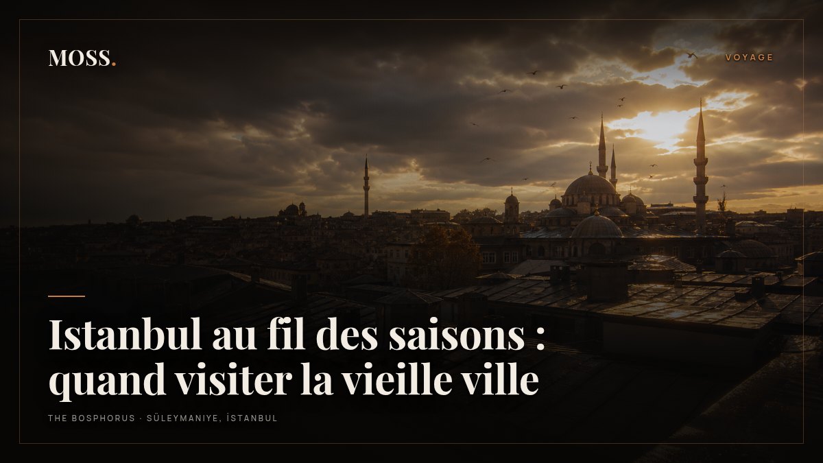 Istanbul au fil des saisons : quand visiter la vieille ville
