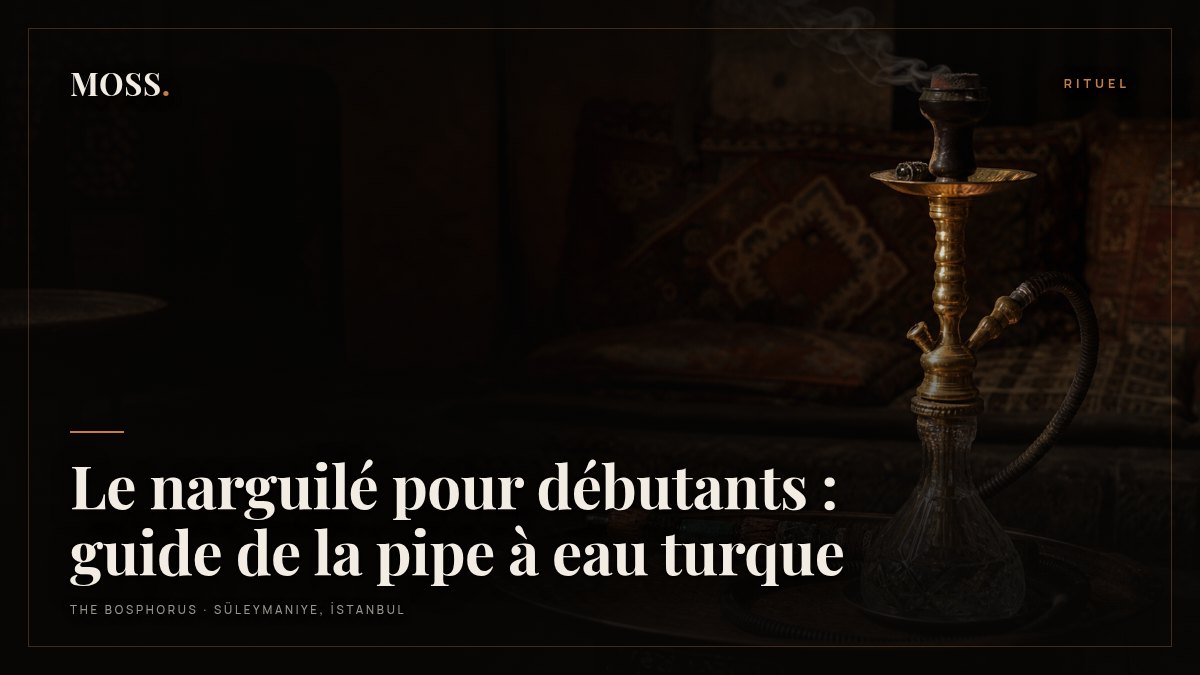 Le narguilé pour débutants : guide de la pipe à eau turque