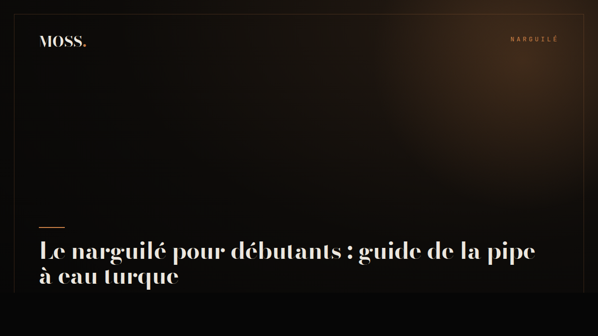 Le narguilé pour débutants : guide de la pipe à eau turque