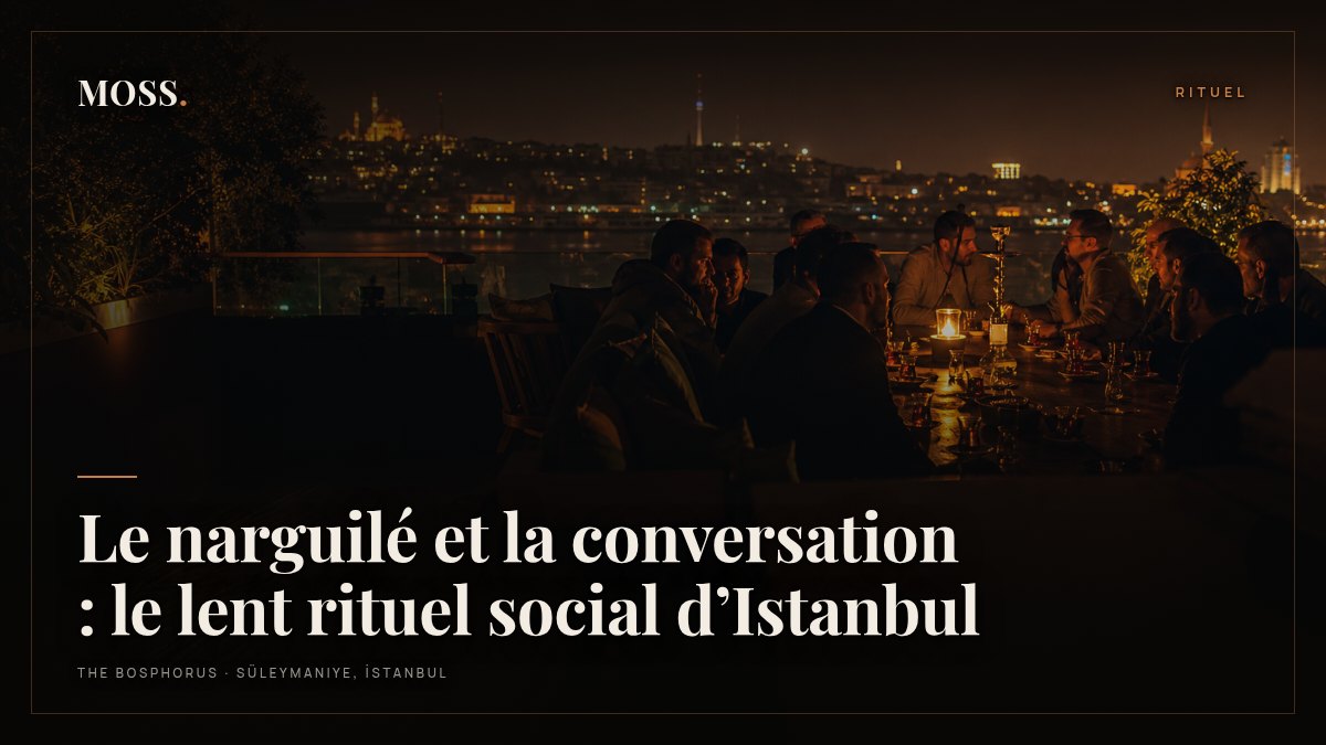 Le narguilé et la conversation : le lent rituel social d’Istanbul