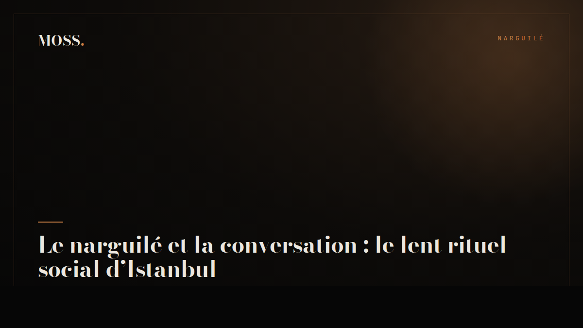 Le narguilé et la conversation : le lent rituel social d’Istanbul
