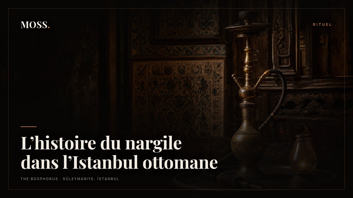 L’histoire du nargile dans l’Istanbul ottomane