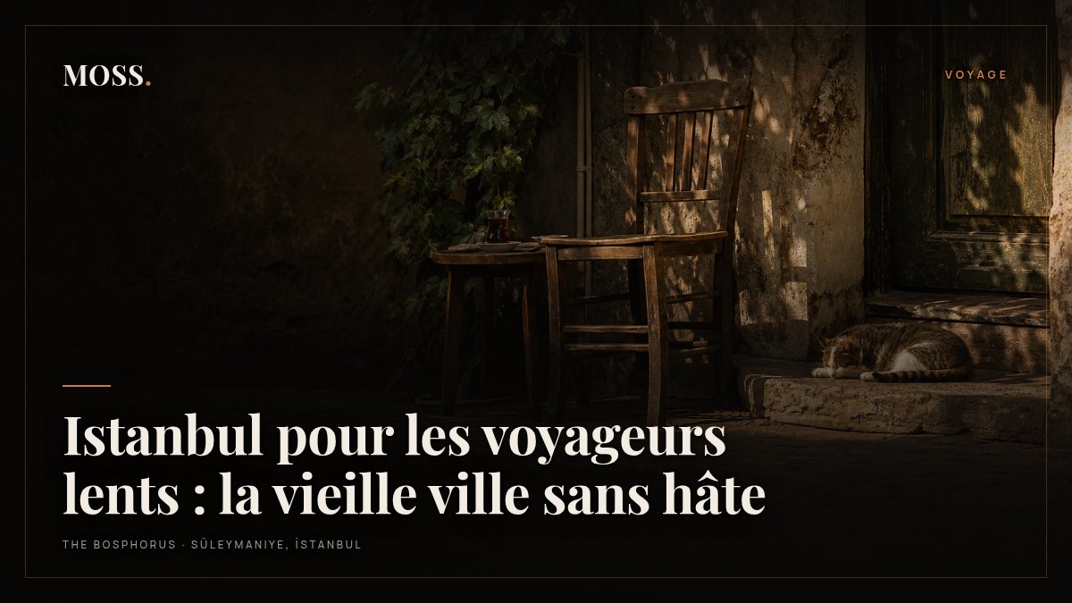 Istanbul pour les voyageurs lents : la vieille ville sans hâte