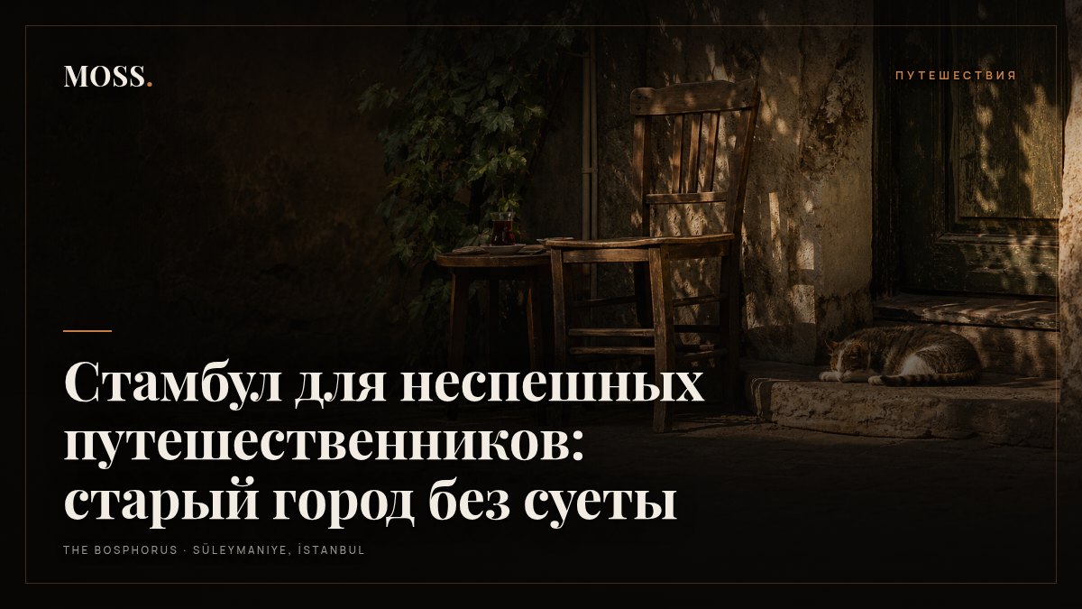 Стамбул для неспешных путешественников: старый город без суеты