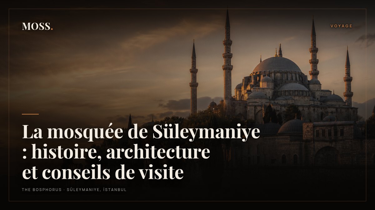La mosquée de Süleymaniye : histoire, architecture et conseils de visite