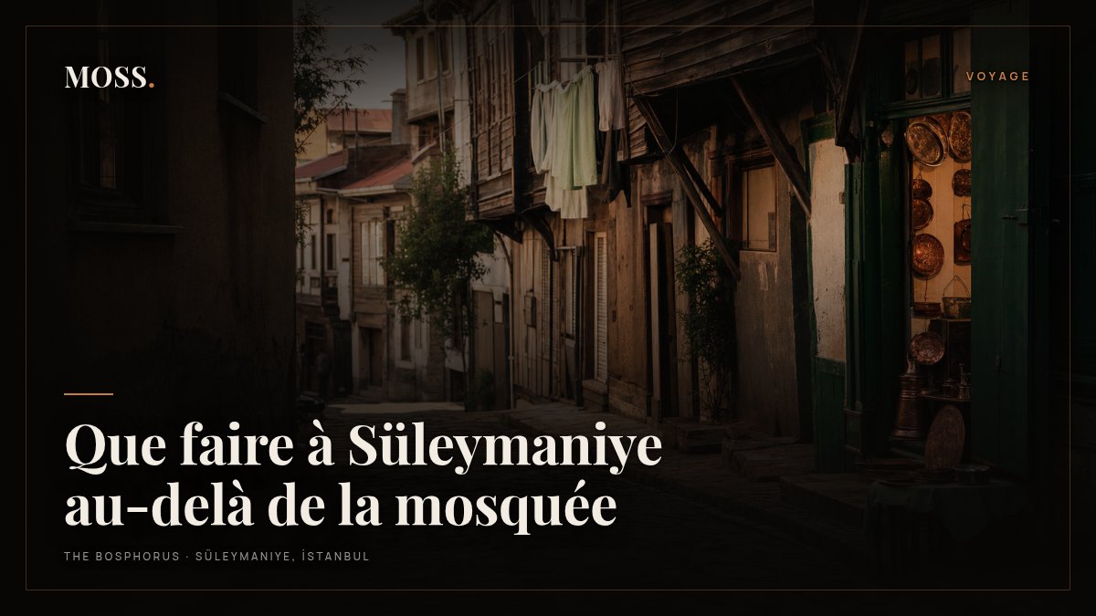 Que faire à Süleymaniye au-delà de la mosquée