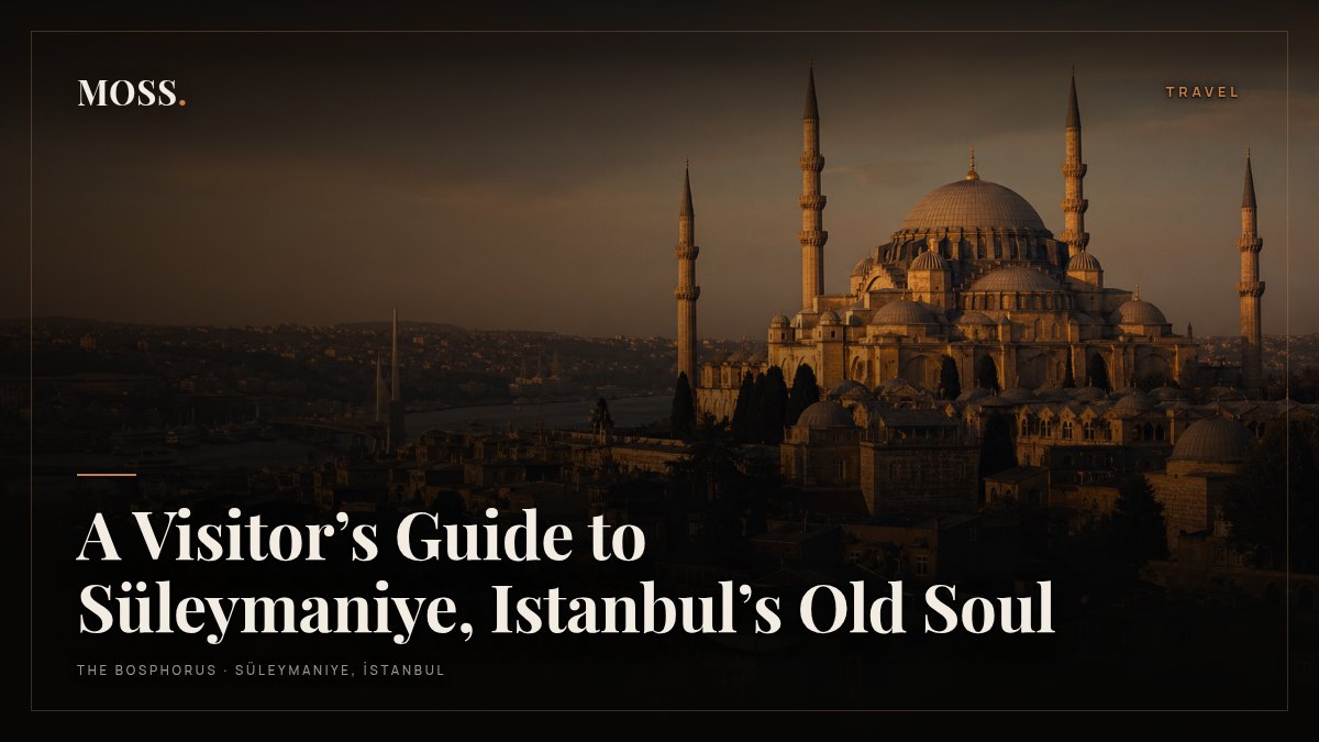 A Visitor’s Guide to Süleymaniye, Istanbul’s Old Soul