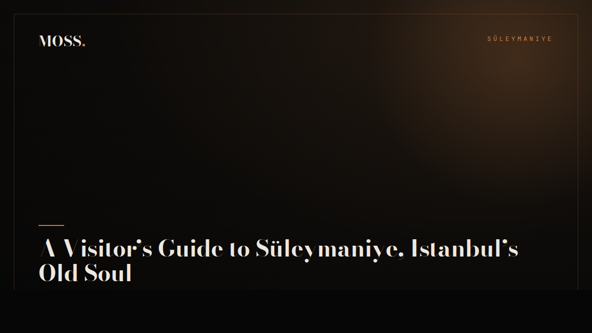 A Visitor’s Guide to Süleymaniye, Istanbul’s Old Soul