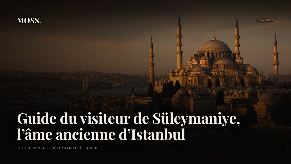 Guide du visiteur de Süleymaniye, l’âme ancienne d’Istanbul