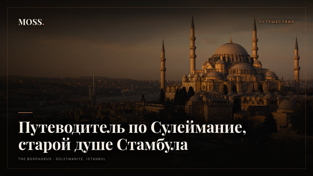 Путеводитель по Сулеймание, старой душе Стамбула