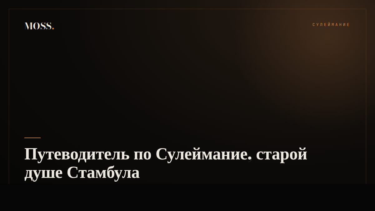 Путеводитель по Сулеймание, старой душе Стамбула