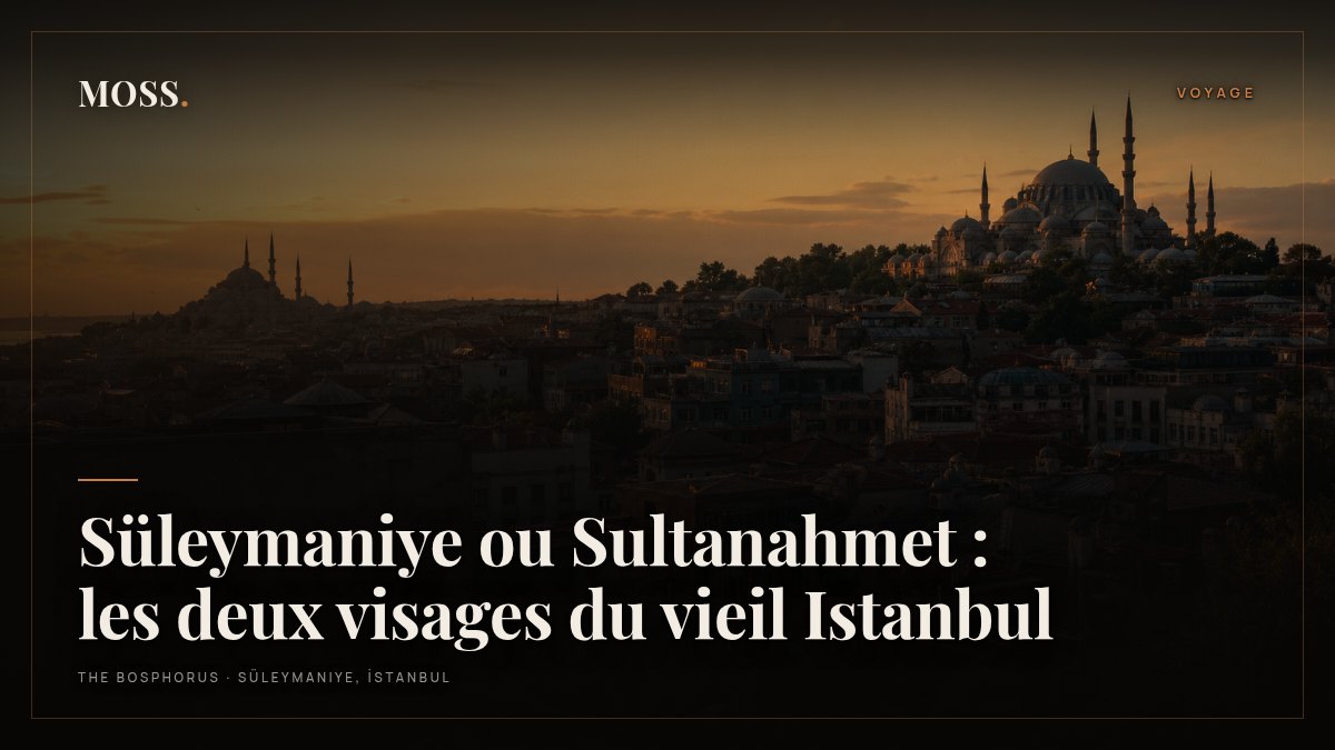 Süleymaniye ou Sultanahmet : les deux visages du vieil Istanbul