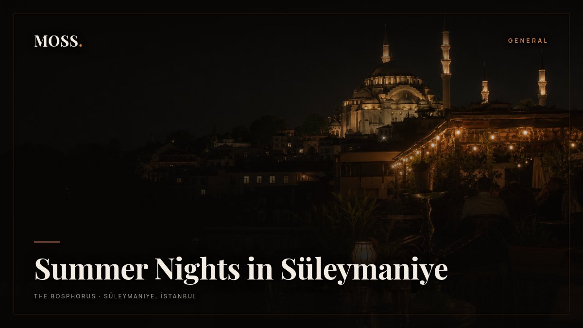 Summer Nights in Süleymaniye