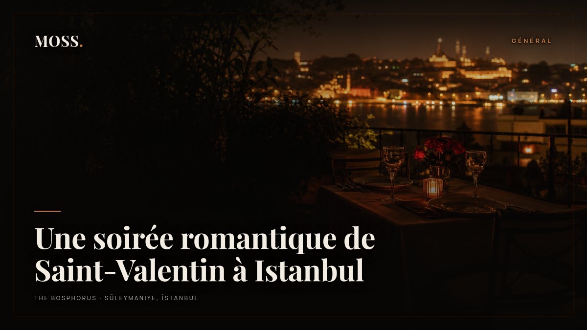 Une soirée romantique de Saint-Valentin à Istanbul