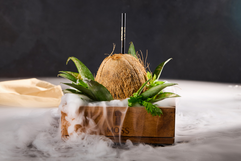 COCONUT LAND